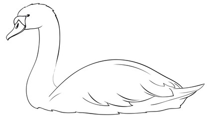 Beautiful Swan Outlines