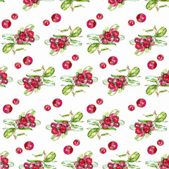 Seamless pattern cranberries