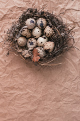 Nest with Easter quail eggs on craft paper background