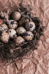 Nest with Easter quail eggs on craft paper background