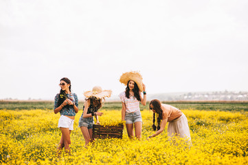 four beautiful hippie girl in a field of yellow flowers