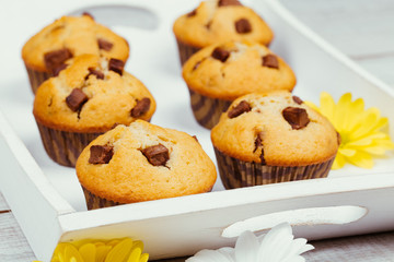 Vintage food background with delicious homemade chocolate muffins and flowers on white wooden table. Spring and summer theme.