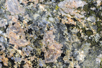 Polierte Oberfläche vom Fililipstad-Granit, Makroaufnahme