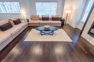 Interior design of a luxury living room