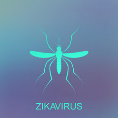 Zika mosquito vector. Virus alert. Aedes Aegypti isolated on blue background