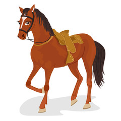 Beautiful saddled horse standing on white background 