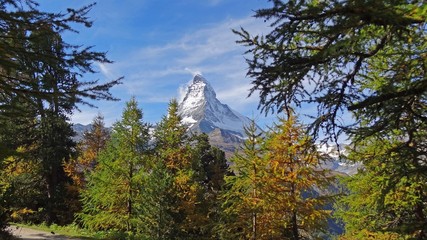 Matterhorn durch den Wald im Herbst