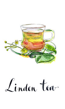 Cup of healthy linden tea and flowers