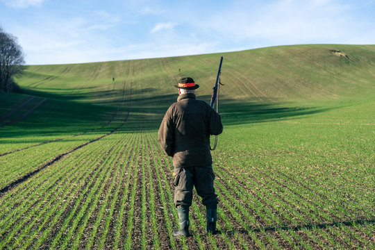 Scenic view of hunter waiting for a pray.