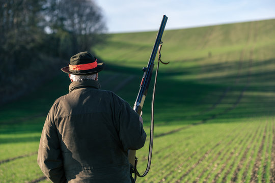 Scenic view of hunter waiting for a pray. Close view.