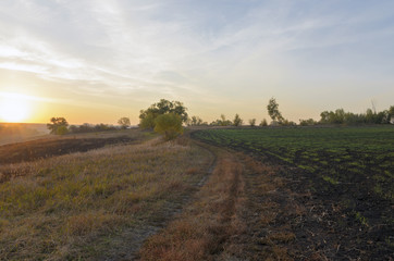 Fototapeta premium Autumn countryside landscape