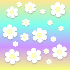 Fototapeta na wymiar white flowers on purple and multicolored background