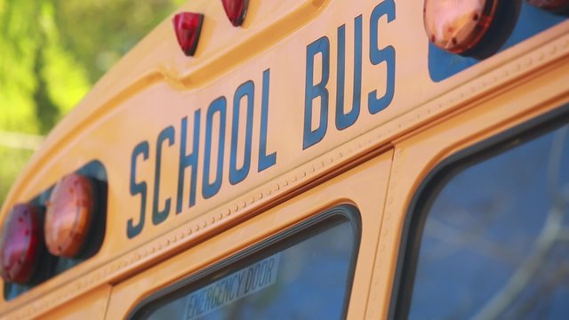 Cool shot of the words "School Bus" on top of a school bus.