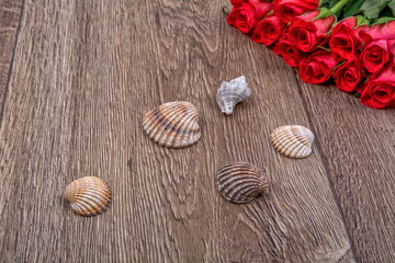 Fototapeta na wymiar Sea shells and roses on a wooden background