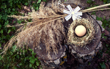Chicken egg in the bird nest on wooden background