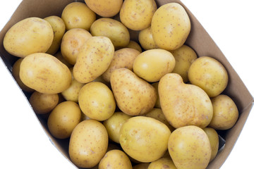 Potato / many potatoes in a box over a white background