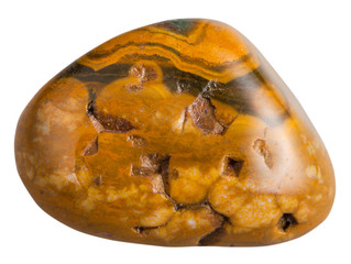 polished leopard skin jasper mineral gemstone