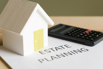 estate plan
