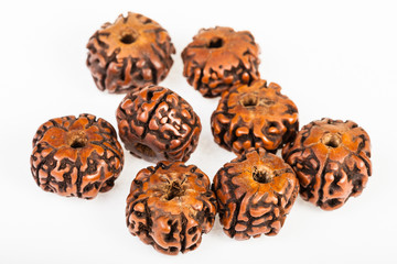 natural wooden beads from Rudraksha tree seeds