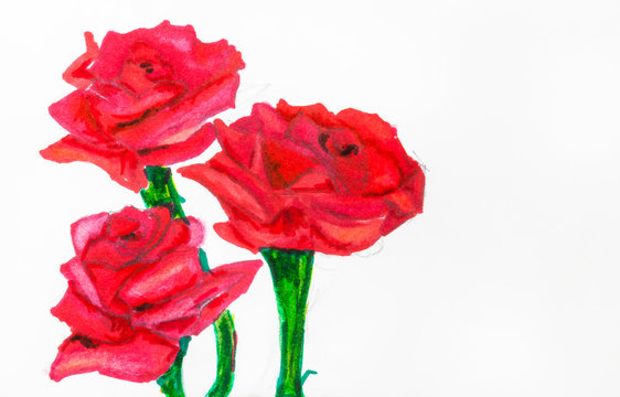 three red roses on green stems painted by felt pen