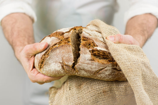 Freshly baked bread from the baker. Baker holding fresh bread in the hands. Rustic style. 