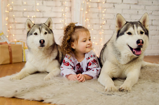 Little Ukrainian with two dogs Husky