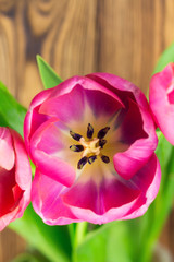 Colorful tulips on wooden background, space for text, close up