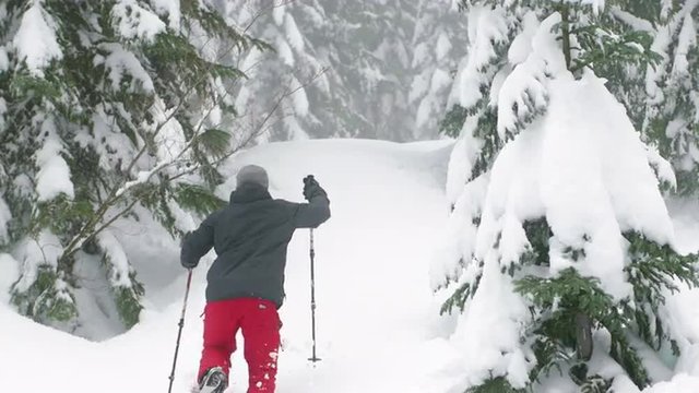 Hiker with Snowshoes and Poles Walking Up Steep Powder Hill in Mountain Forest