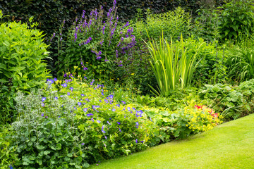 Beautiful walled garden - 105552250