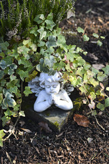 Obraz premium Engel unter Efeu