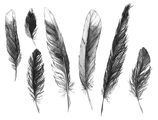 Watercolor black and white monochrome feather set isolated