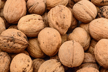 Walnuts closeup