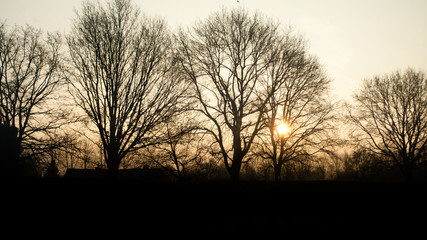 Fototapeta na wymiar Sunrise on a winter clear day