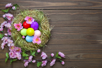 Easter eggs in nest on rustic wooden planks with flowers