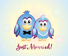 Just Married, blue birds