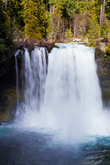 Fototapeta premium Wodospad Koosah na rzece McKenzie w stanie Oregon