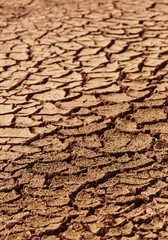 dry sandy earth of crack