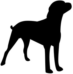 dog vector silhouette