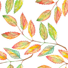 Watercolor rowan ashberry leaf branch botanical seamless pattern