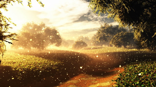 Amazing Natural Wonderland wth Fireflies and Lightrays in the Sunset Sunrise 3D Animation with cinematic camera motion