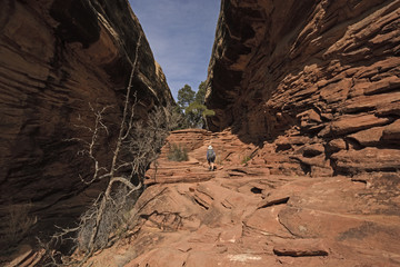 Hiker Heading into a Desert Canyon