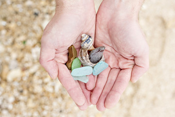 Sea Treasures in the child's hands