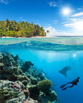 Underwater coral reef with scuba diver and manta