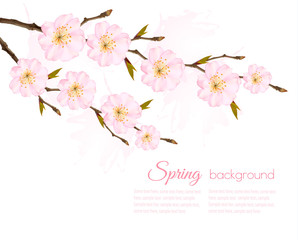 Spring background with a sakura branch. Vector.