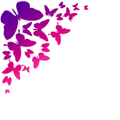 Obraz premium butterflies design
