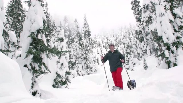 Man Snowshoeing in Mountain Backcountry with Dog Wearing Jacket