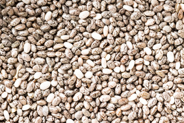 Organic Chia Seed