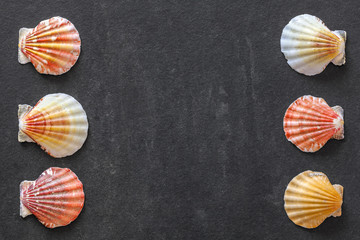 Colorful shells on dark stone background, space for text