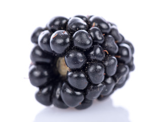 Fresh blackberry, closeup
