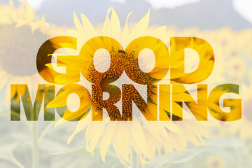 Good morning word on sunflower background